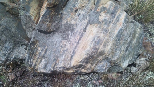 Гигантские зелёные валуны для ландшафтного дизайна весом более 5 тонн купить в Туле