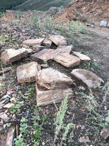 Плитняк кора дерева 50-100мм для пошаговых дорожек купить в Туле